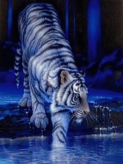 Animal Screensavers 0033